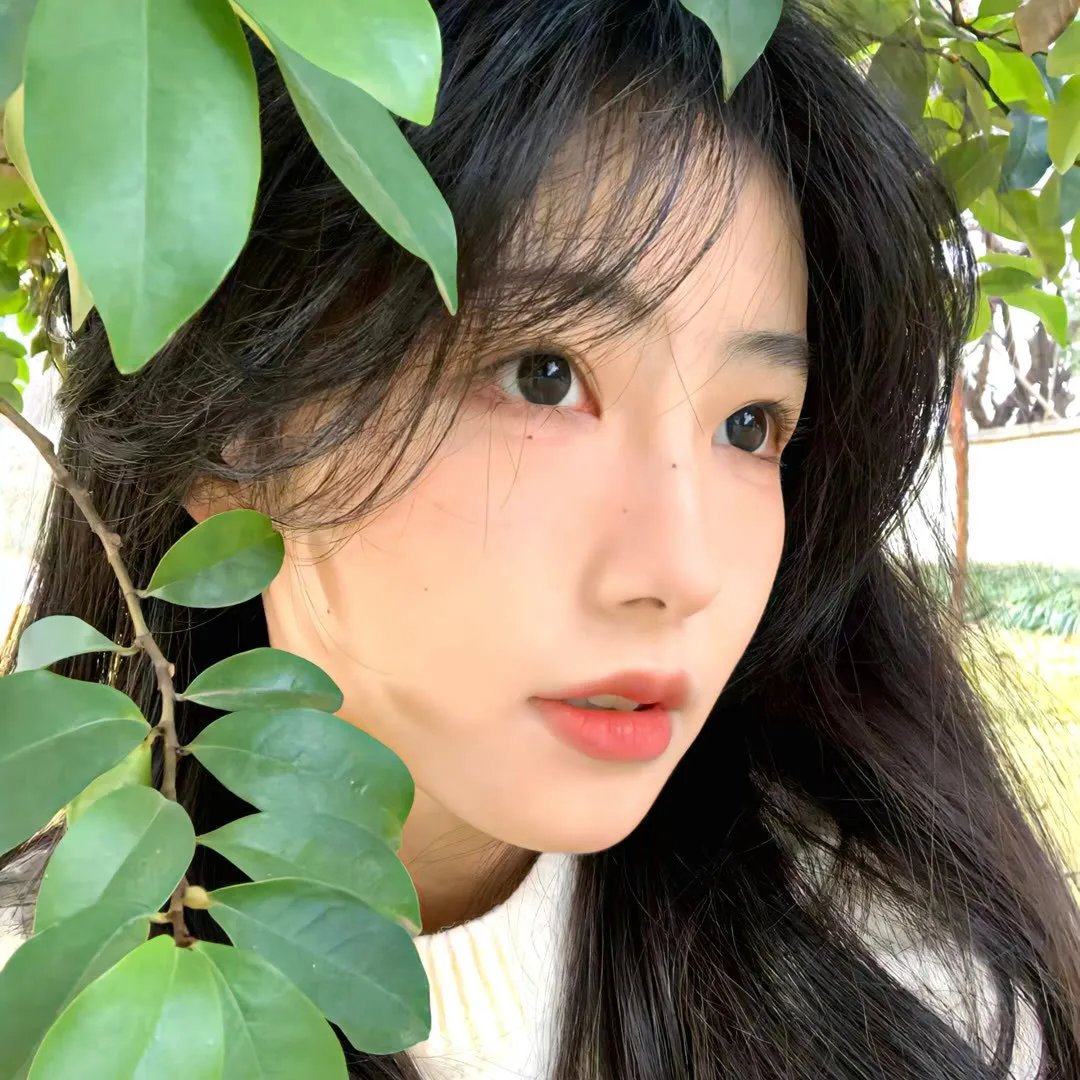 青楼情孽